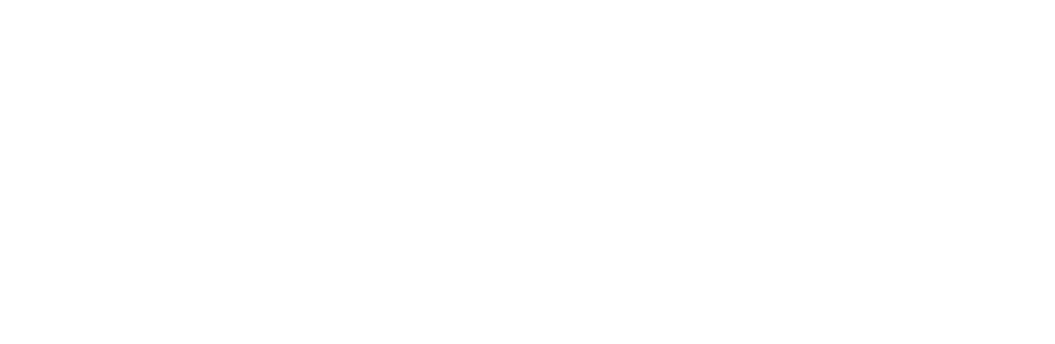 Penguin King